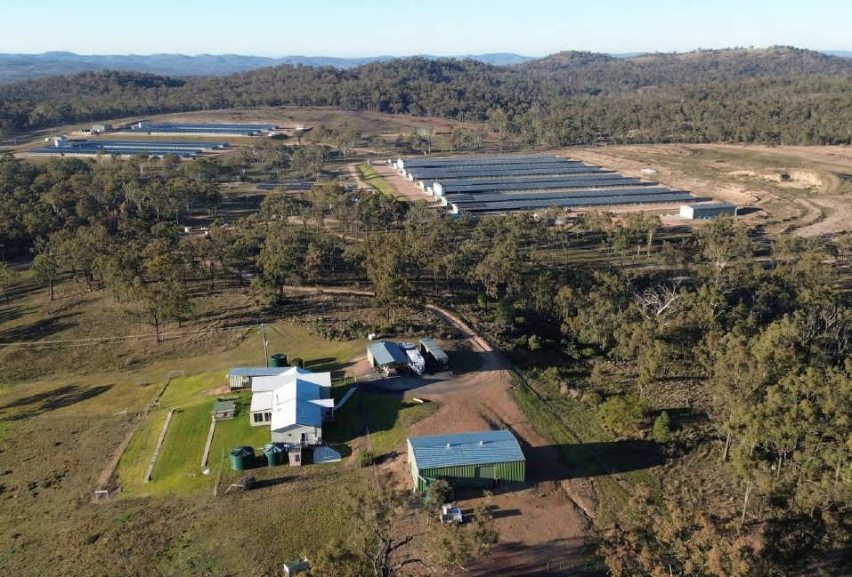 Poultry Farm For Sale QLD