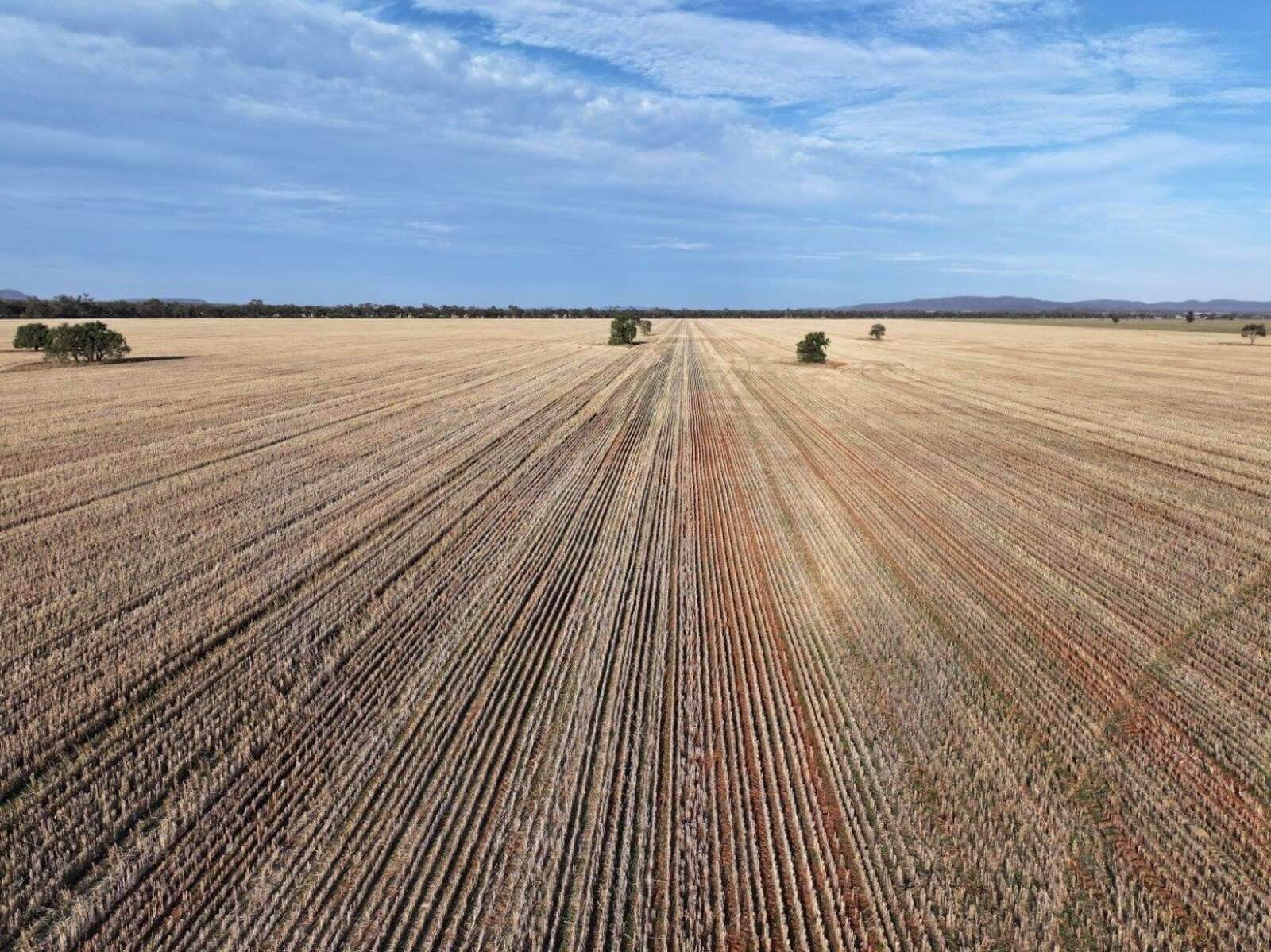 Farm For Sale NSW