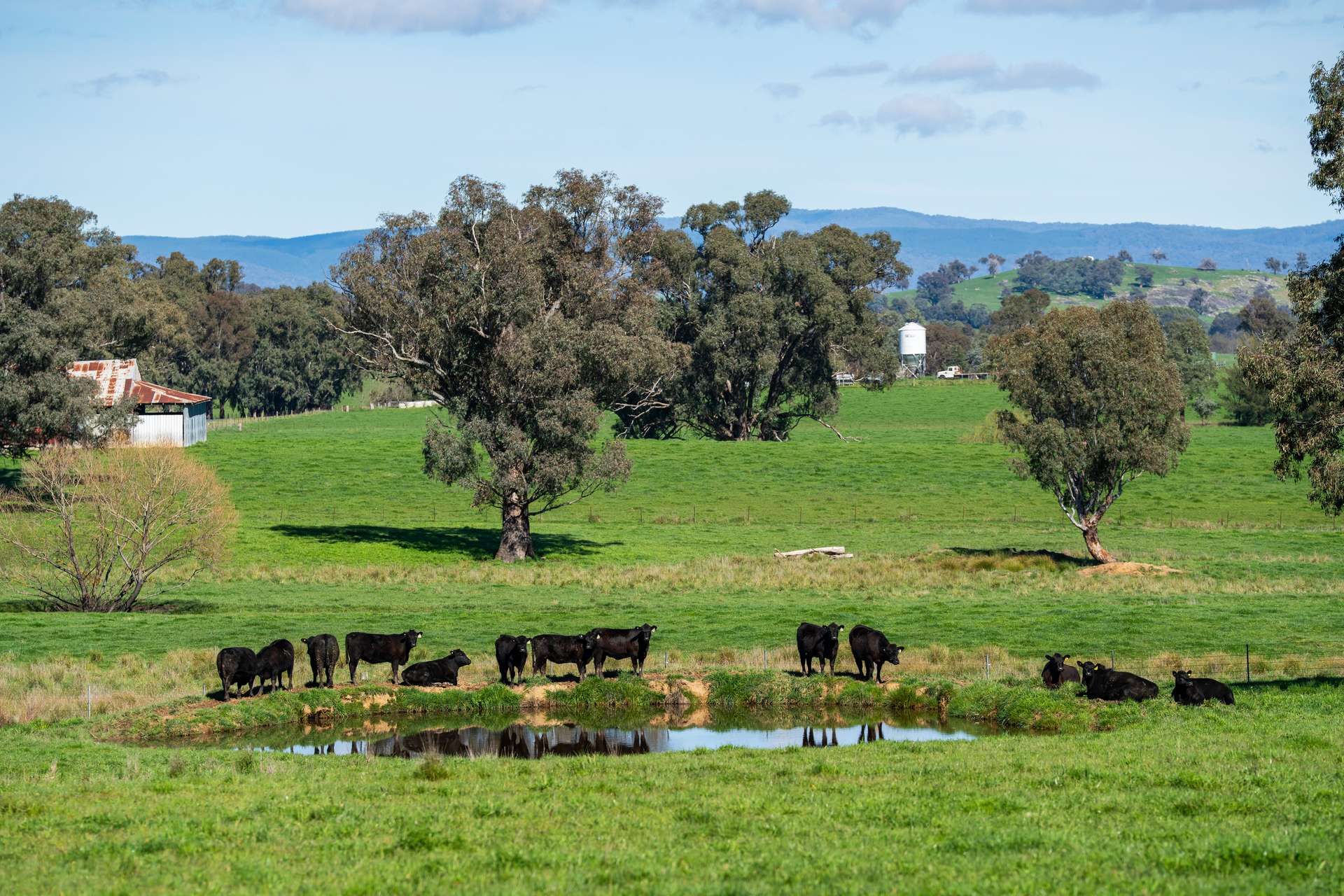 rural property for sale NSW
