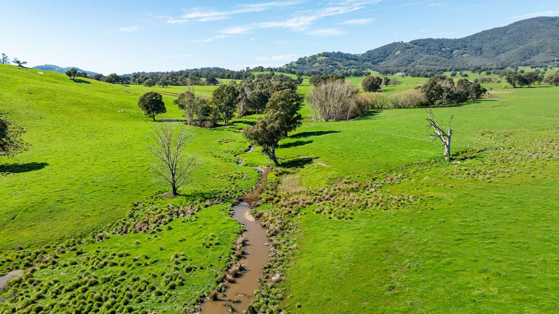 rural property for sale NSW