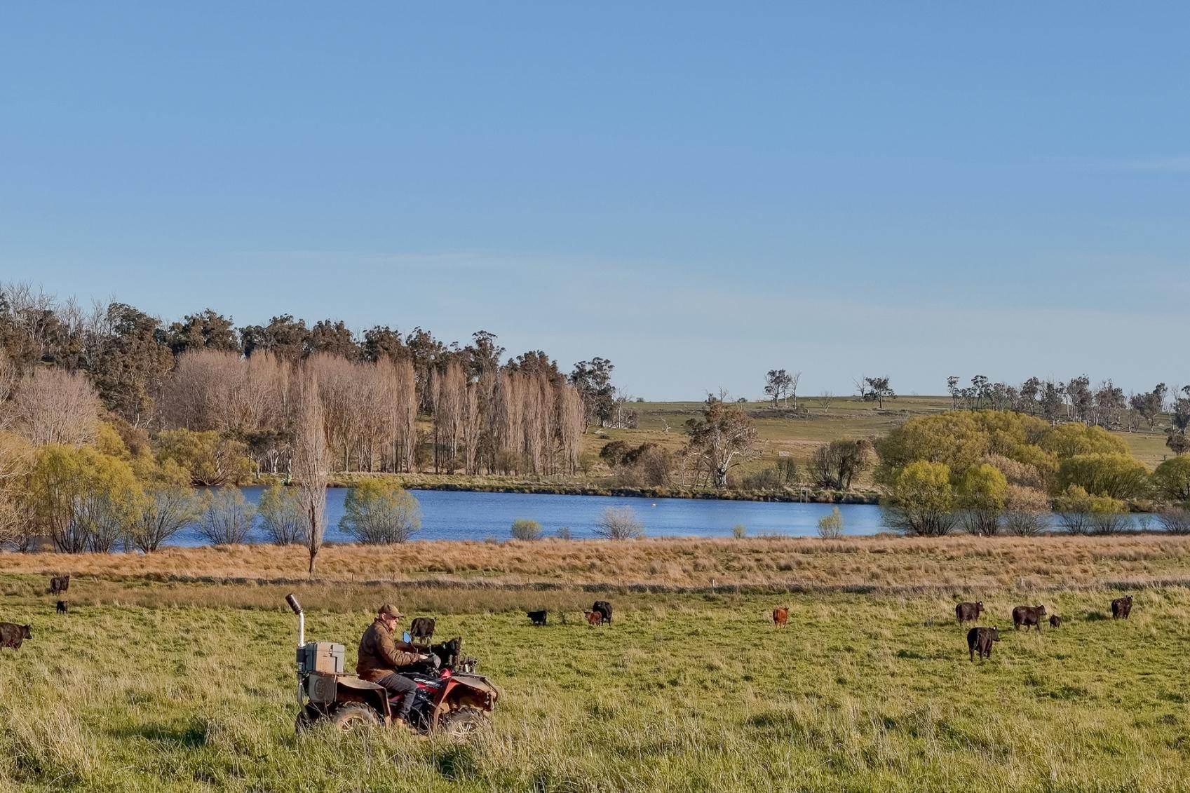 Rural Property For Sale NSW