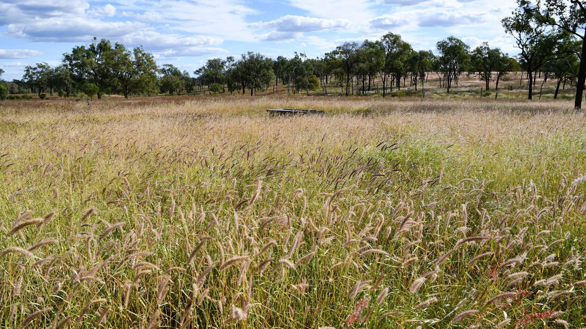 rural property for sale QLD