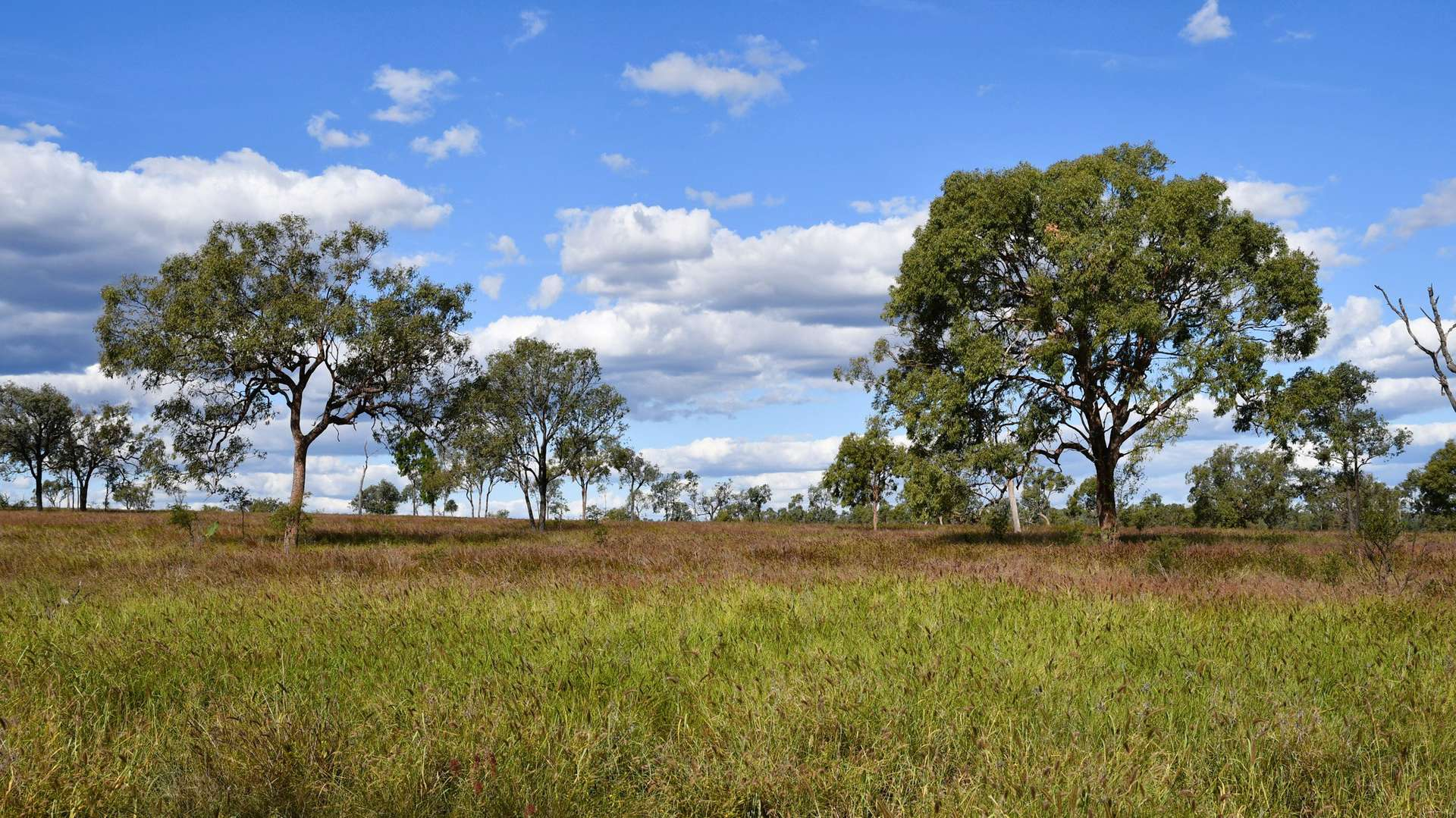 rural property for sale QLD