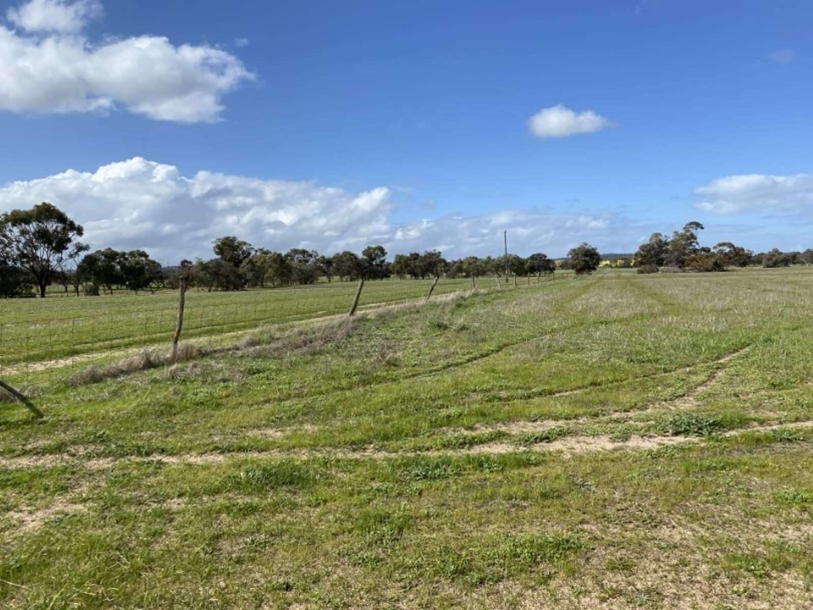 rural property for sale WA
