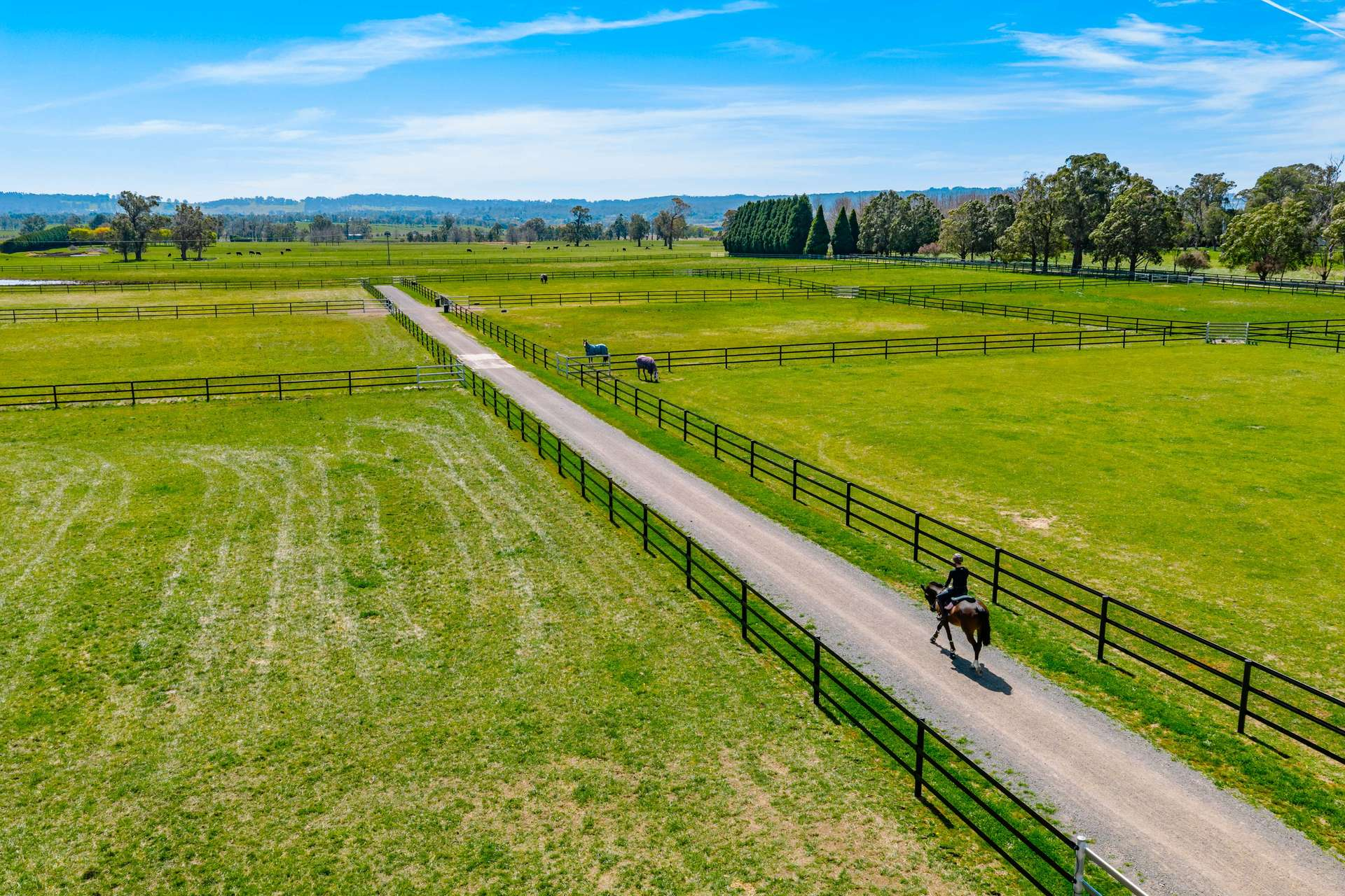 equine property for sale NSW