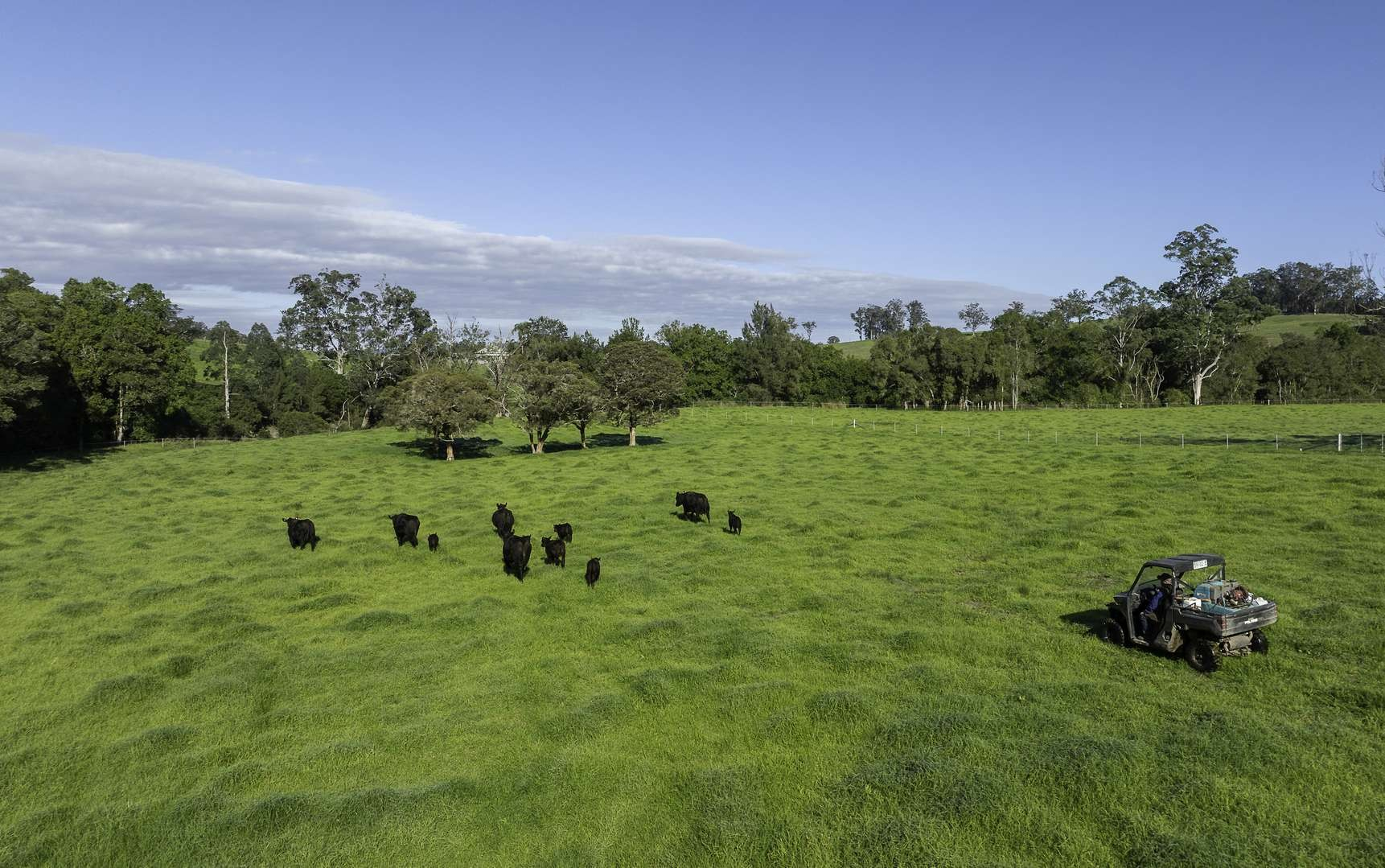 Rural Property For Sale NSW