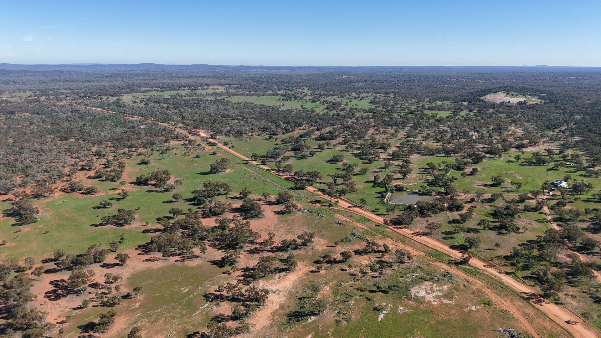 Cattle Property For Sale NSW