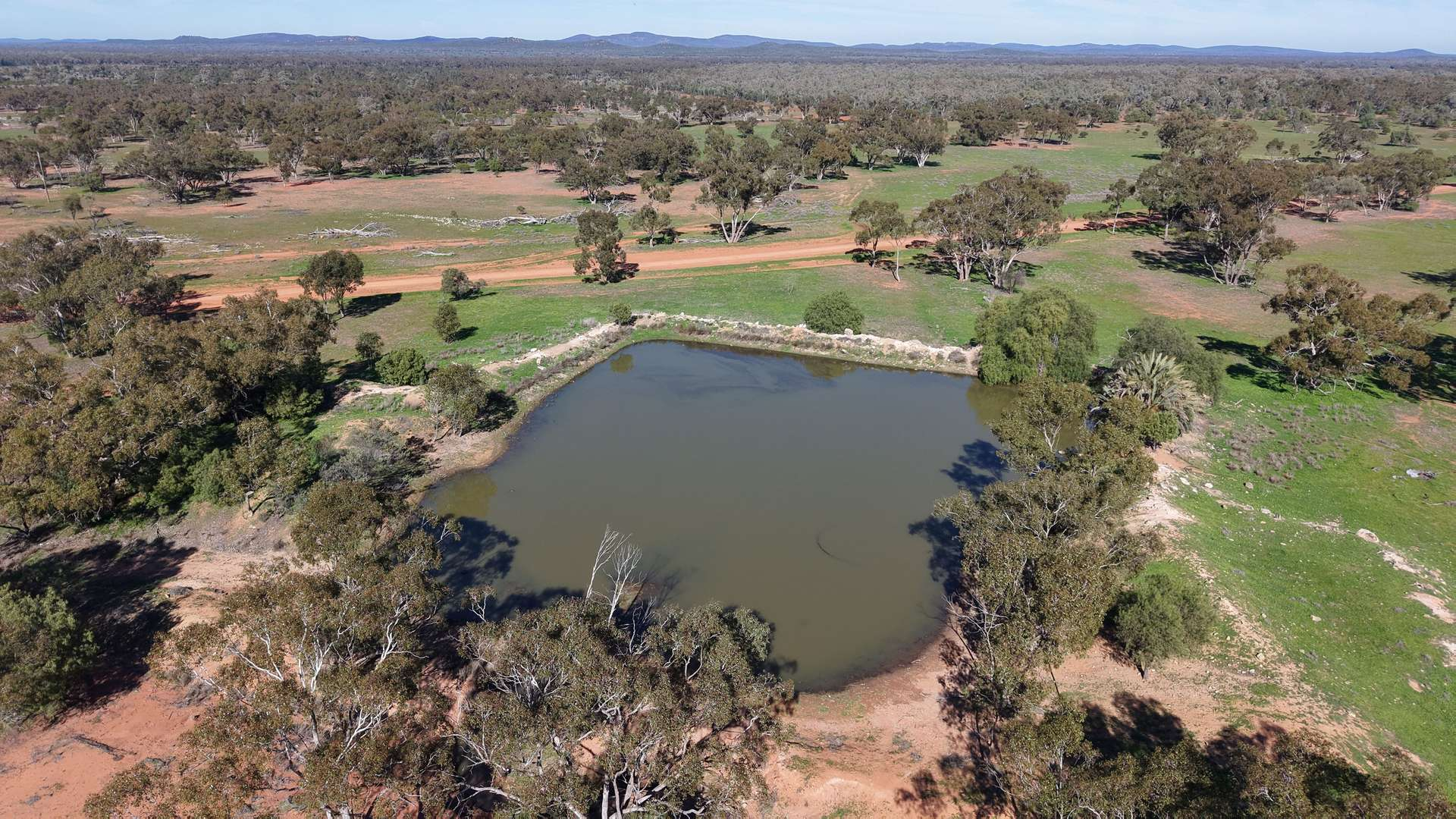 Cattle Property For Sale NSW