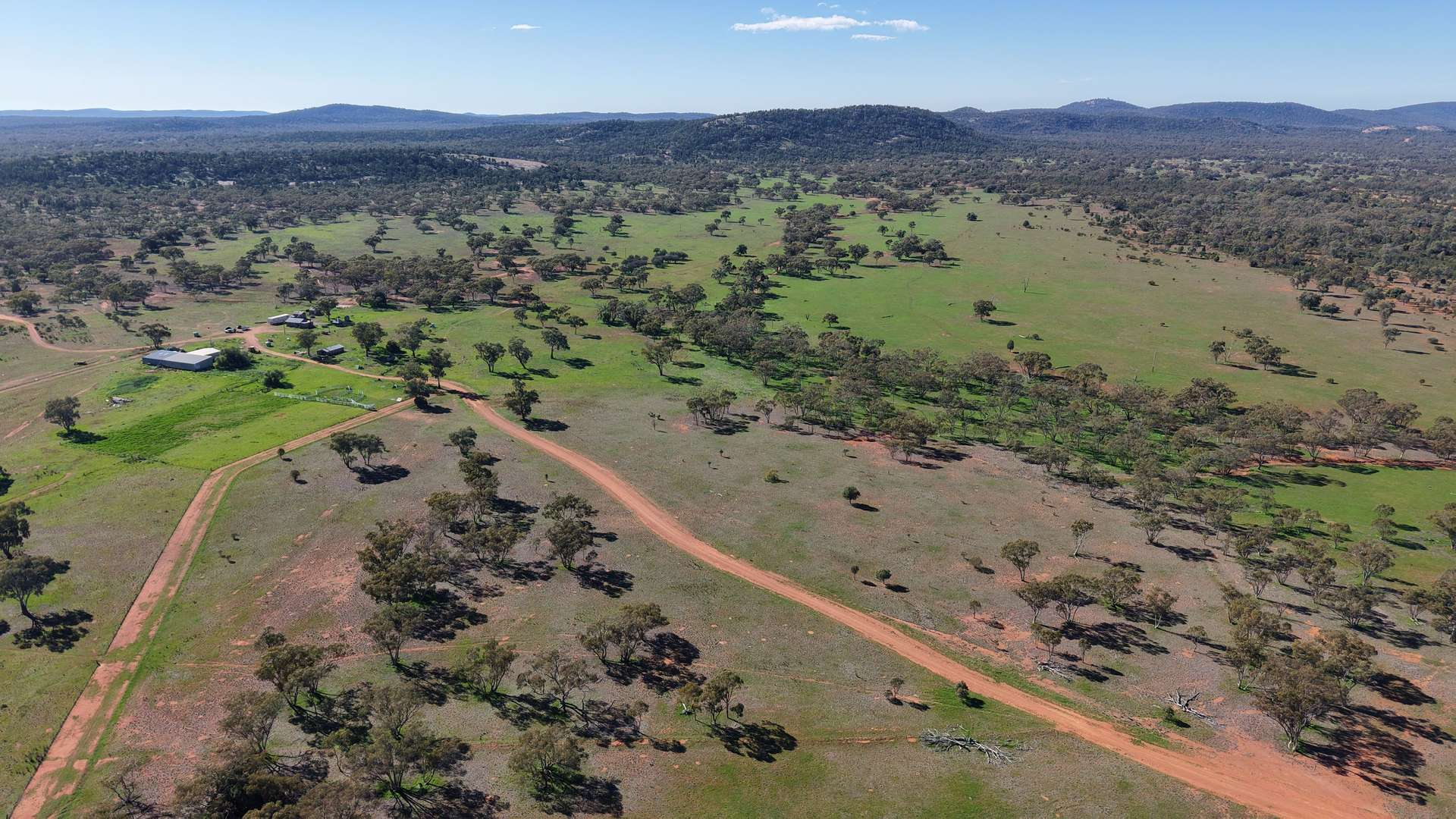 Cattle Property For Sale NSW