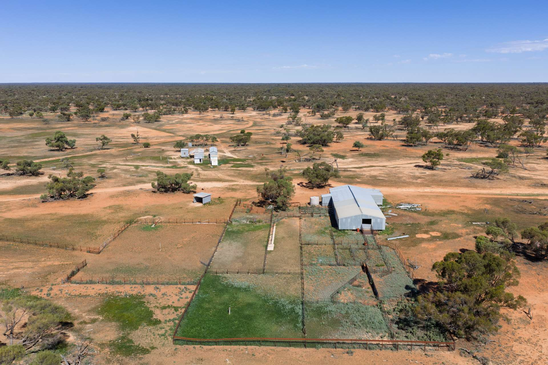 Cattle Property For Sale NSW 