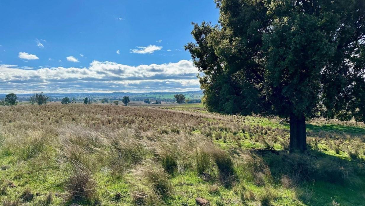 Rural Property For Sale NSW