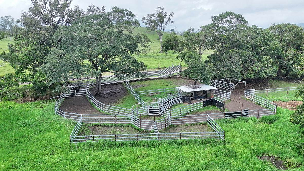 cattle property for sale QLD