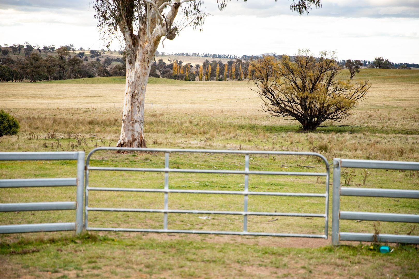 rural property for sale Walcha NSW