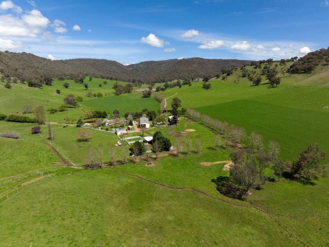 Cattle Farm For Sale NSW