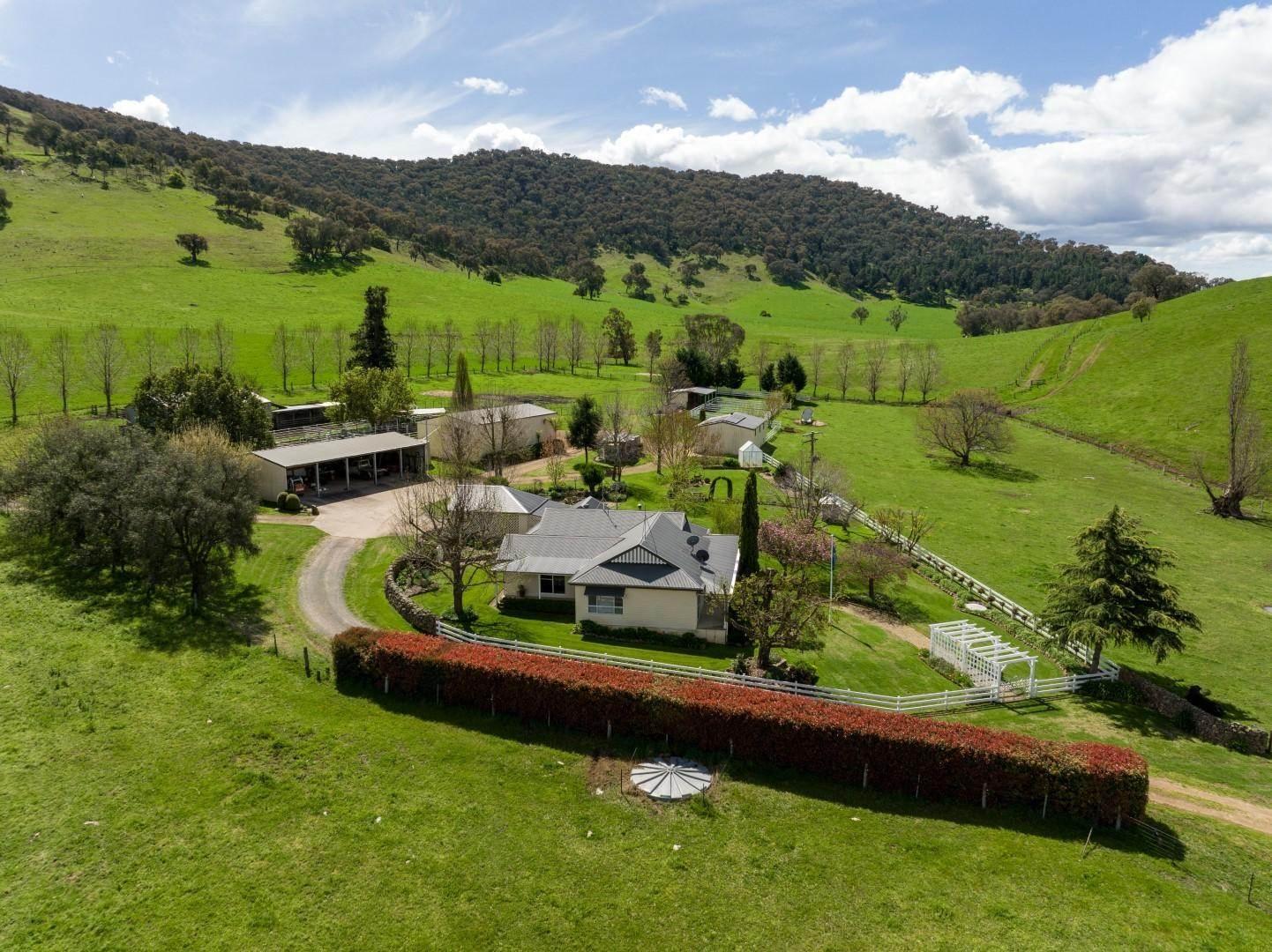 Cattle Farm For Sale NSW