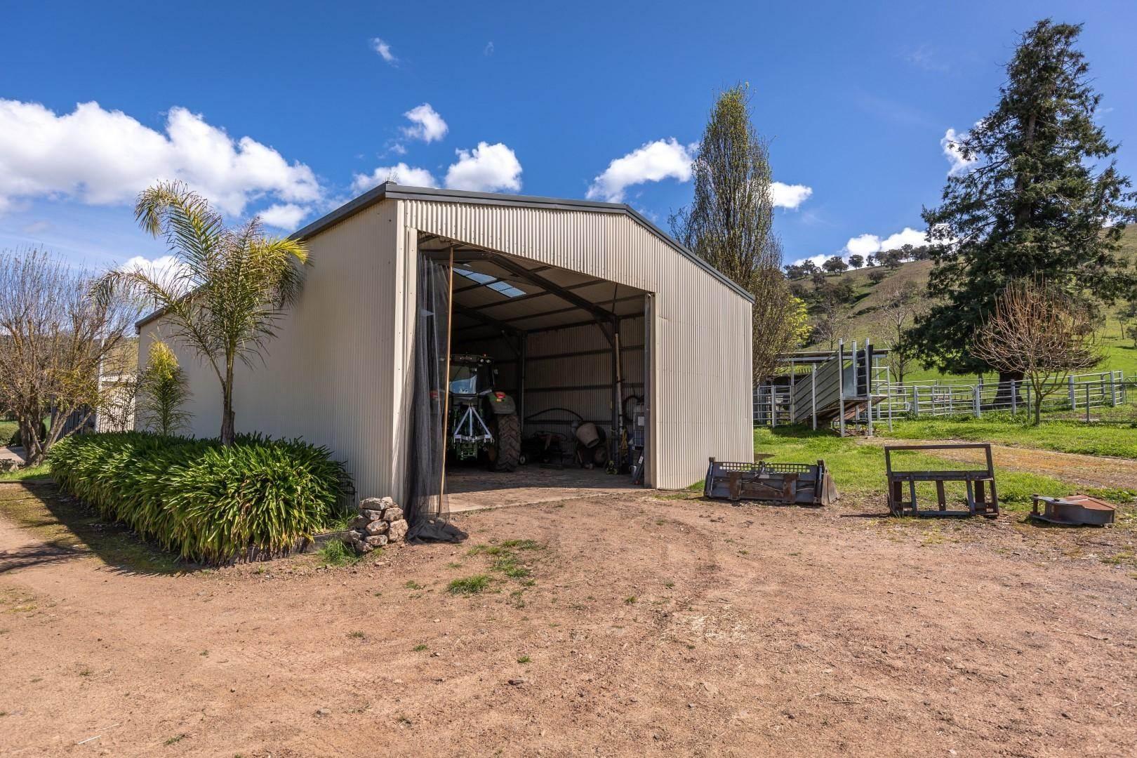 Cattle Farm For Sale NSW