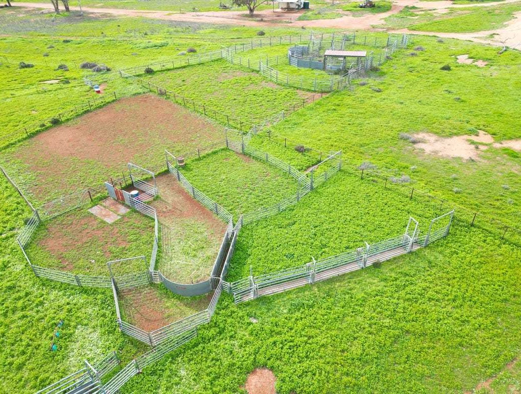 mixed farm for sale NSW