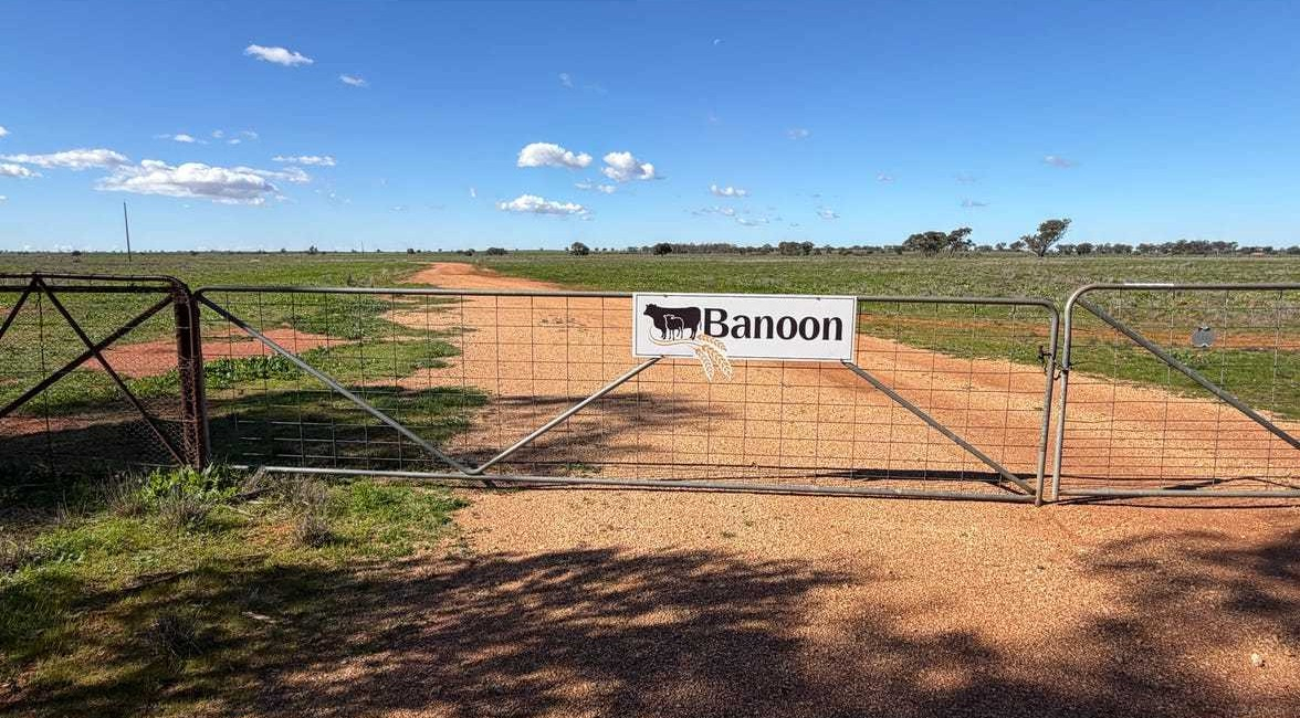 mixed farm for sale NSW