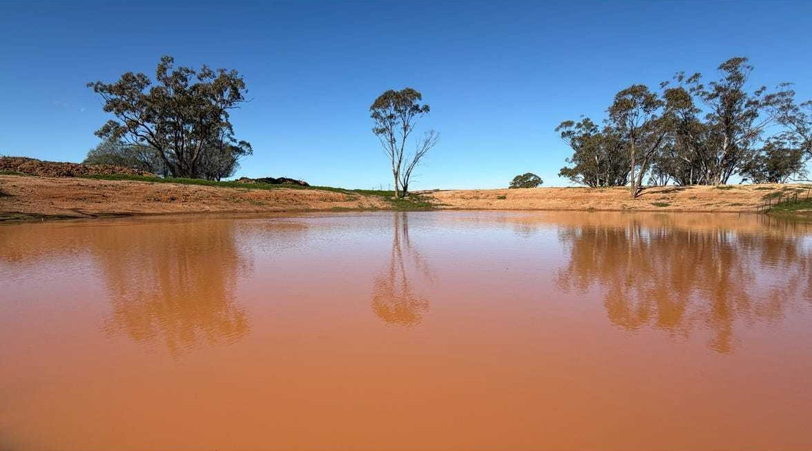 mixed farm for sale NSW