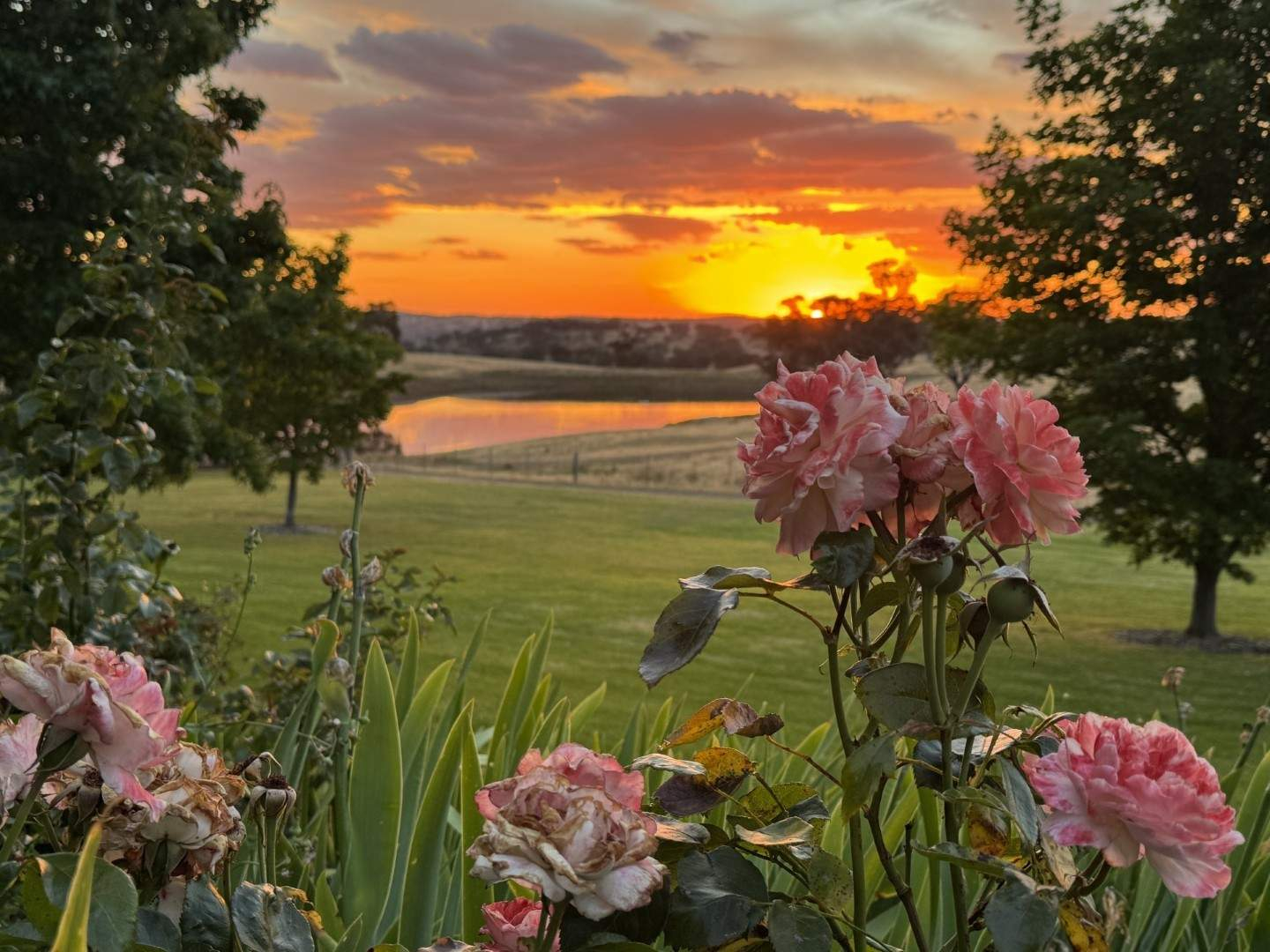 rural property for sale NSW 