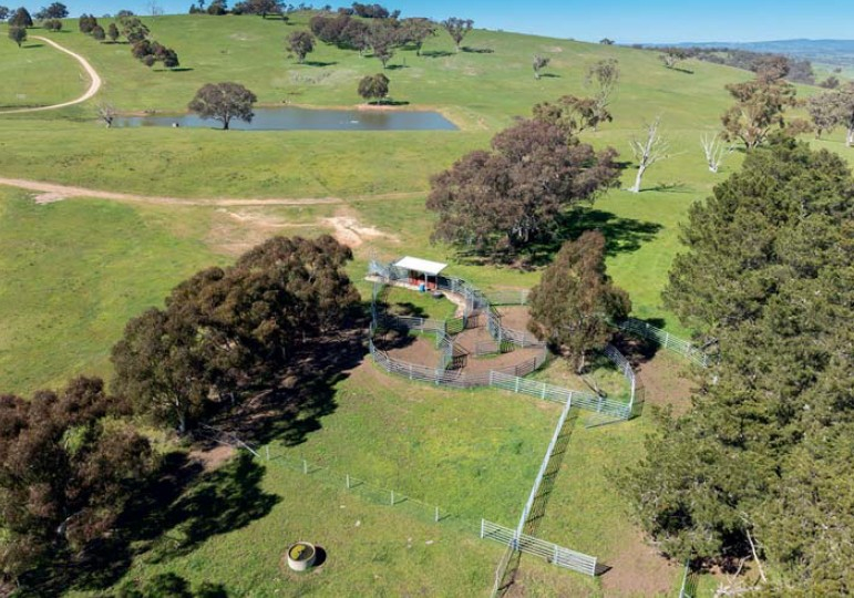 rural property for sale NSW 