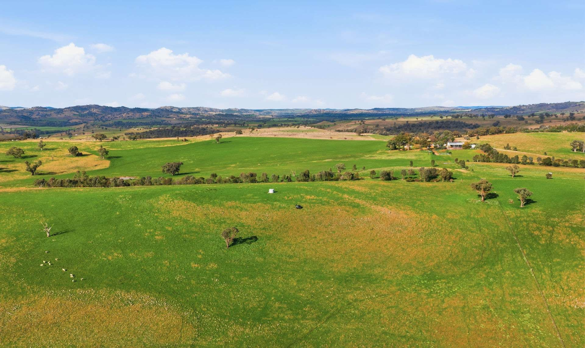 Mixed Farm For Sale NSW