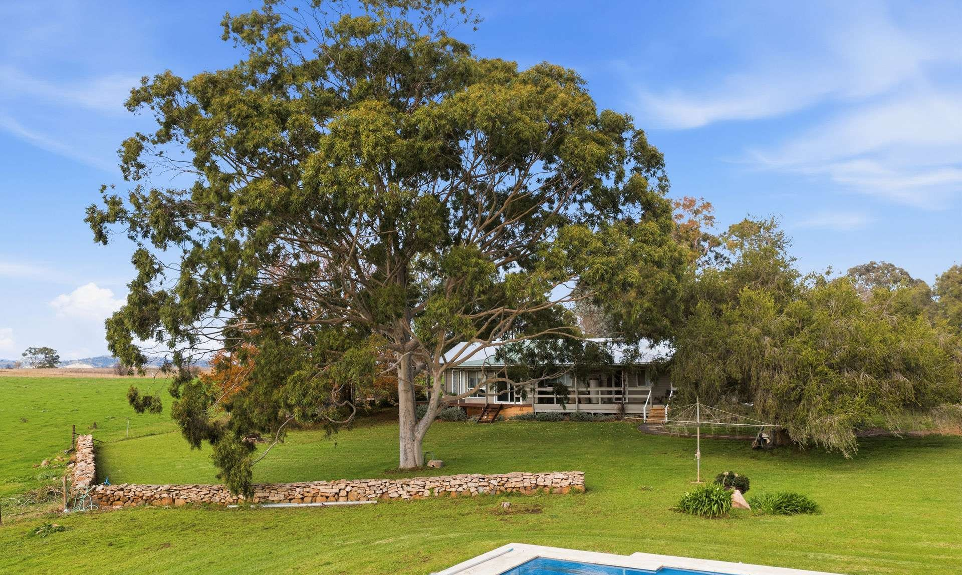 Mixed Farm For Sale NSW