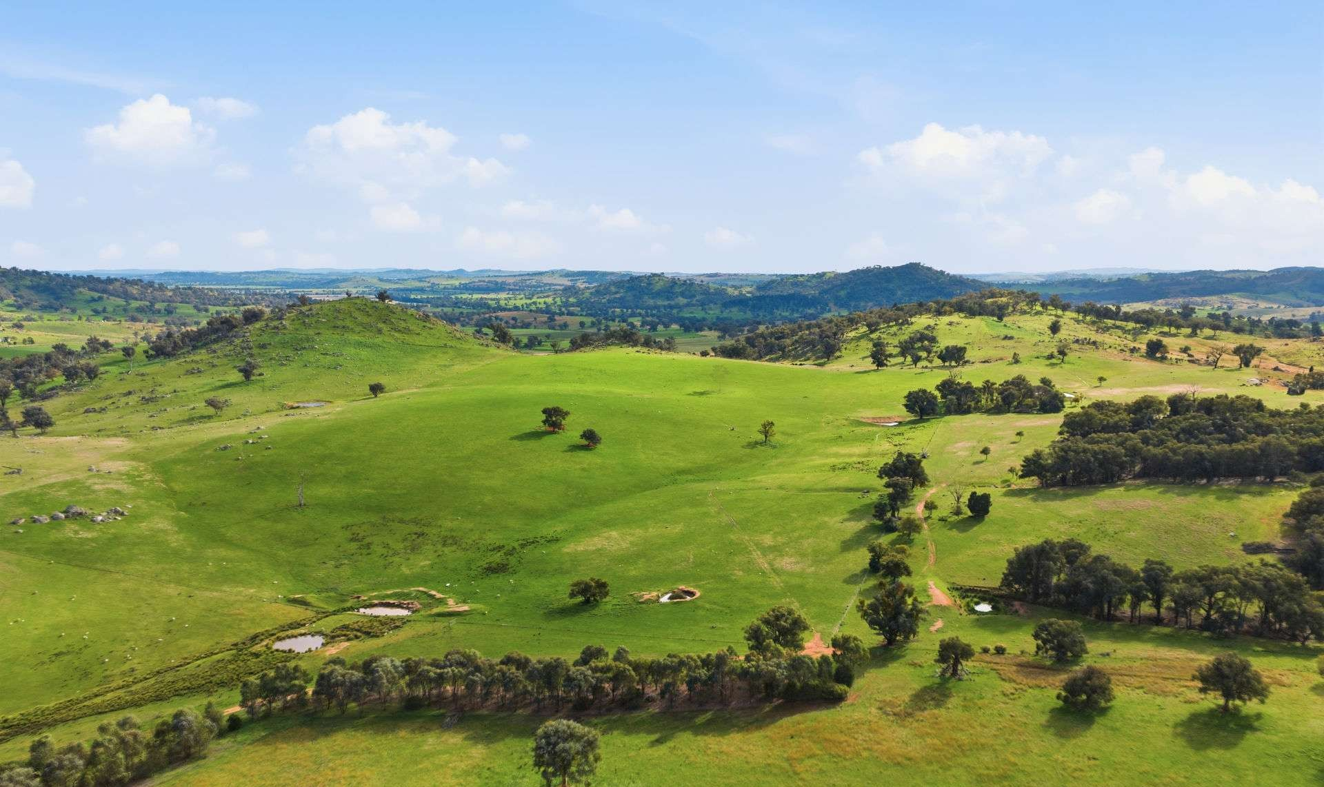 Mixed Farm For Sale NSW