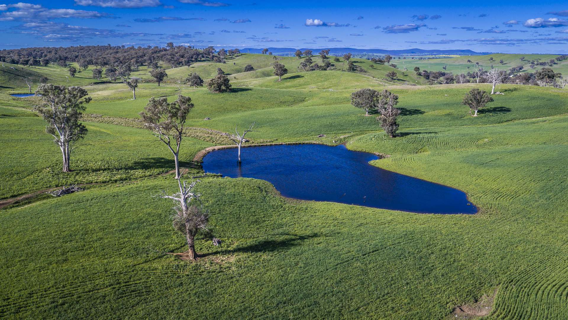 Rural Property For Sale NSW