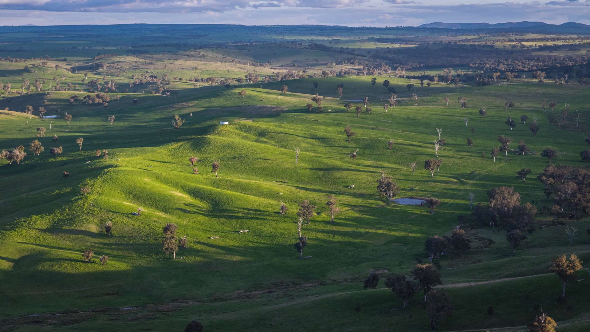 Rural Property For Sale NSW