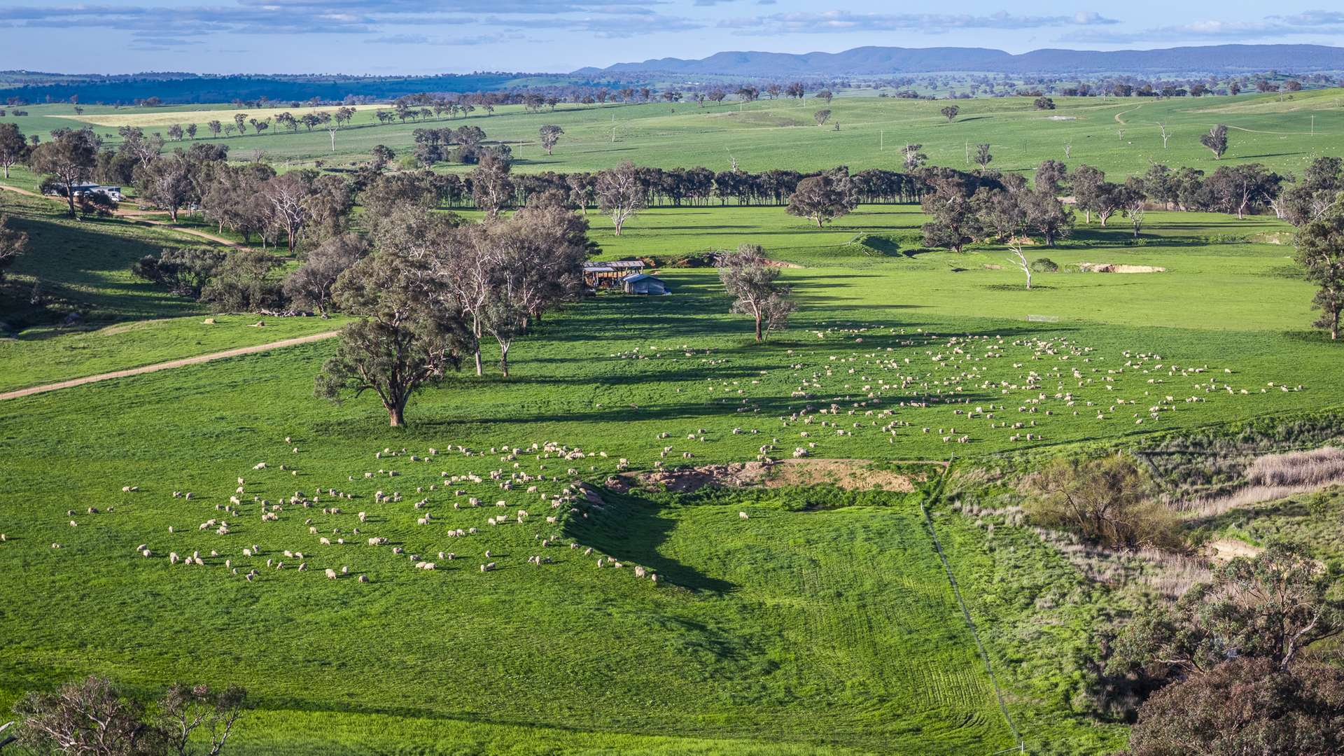 Rural Property For Sale NSW