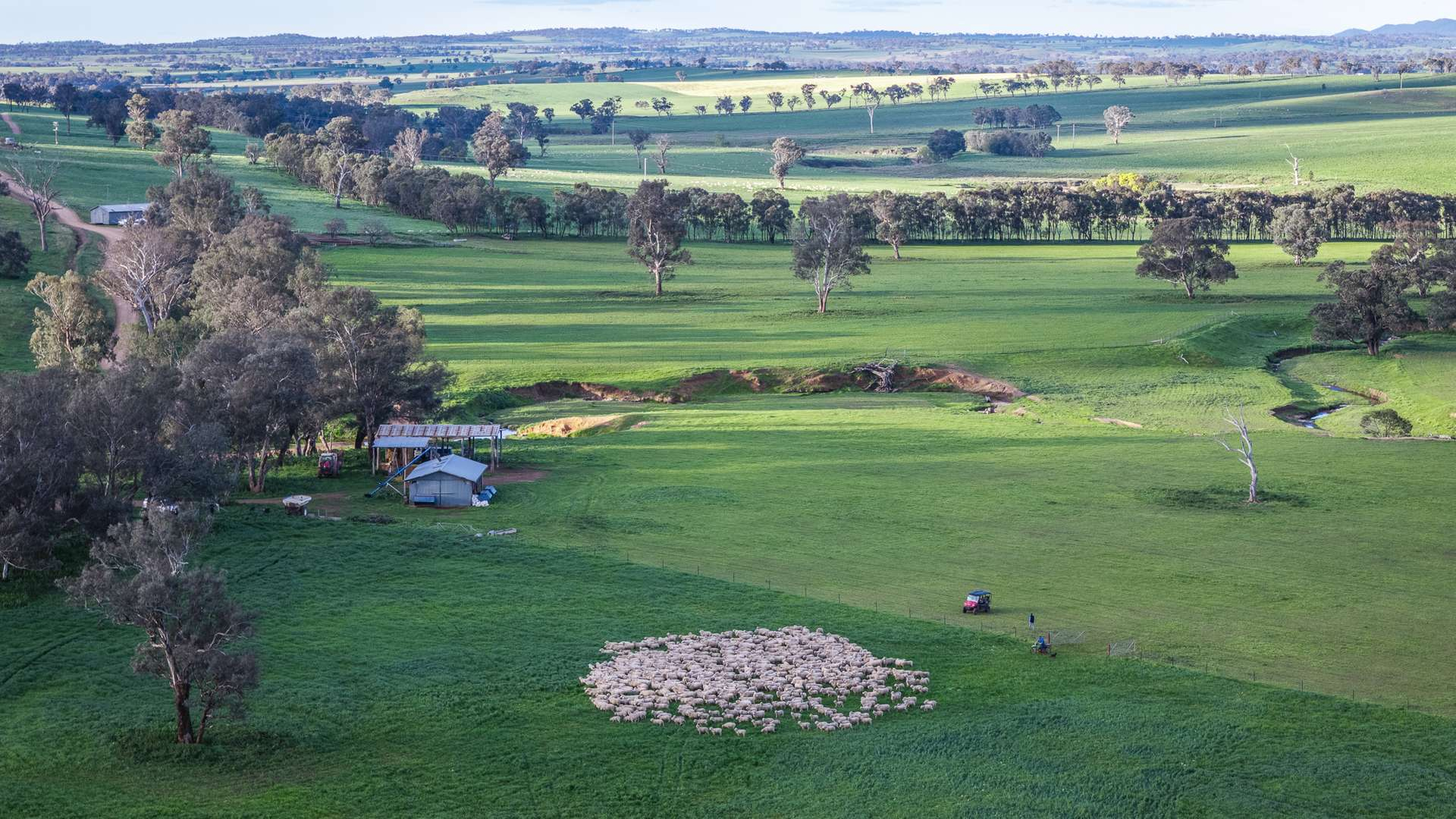 Rural Property For Sale NSW
