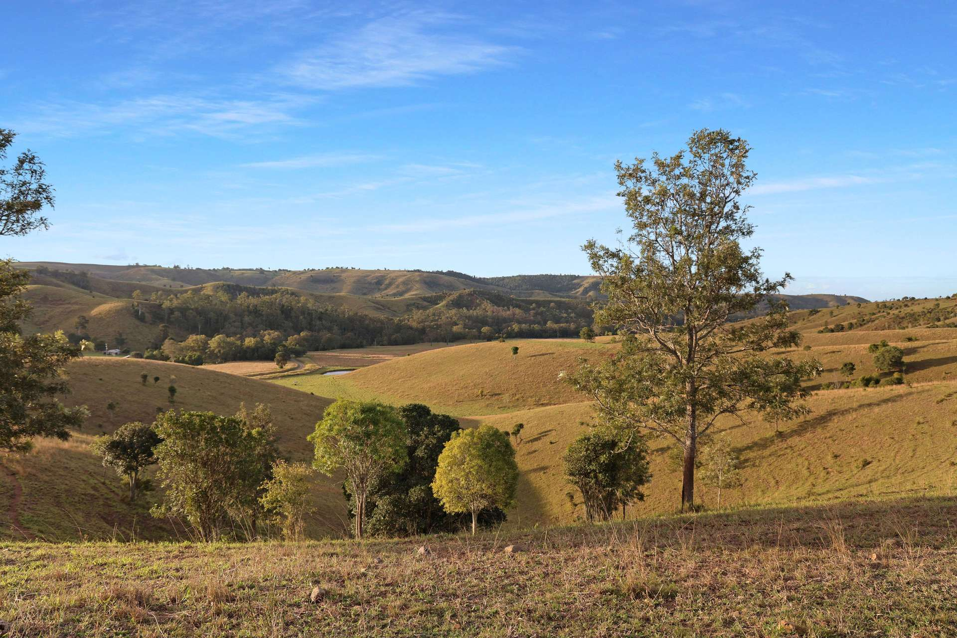 cattle property for sale QLD