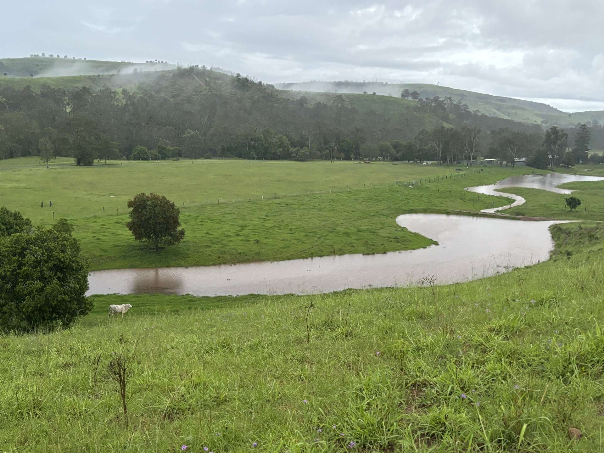 cattle property for sale QLD