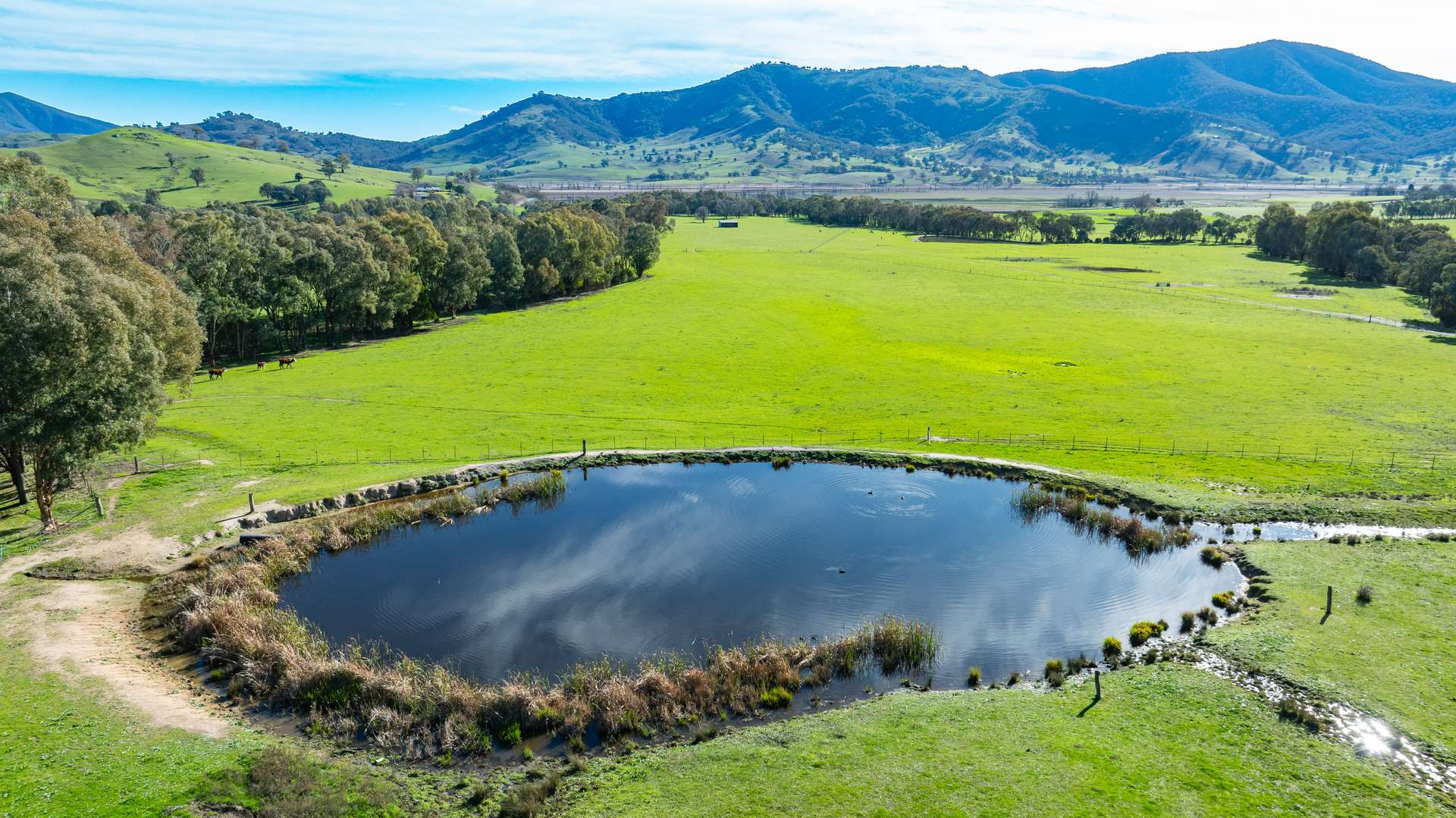 cattle property for sale VIC