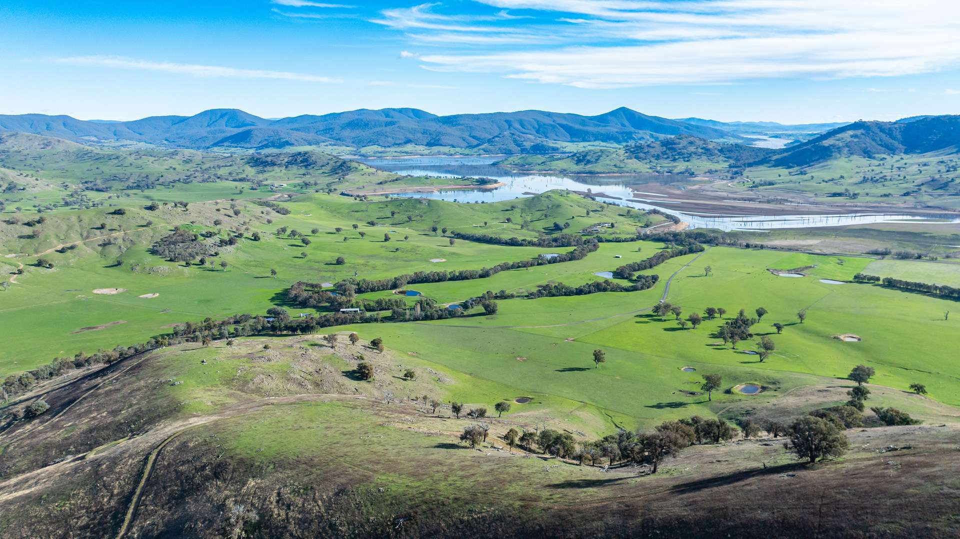 cattle property for sale VIC