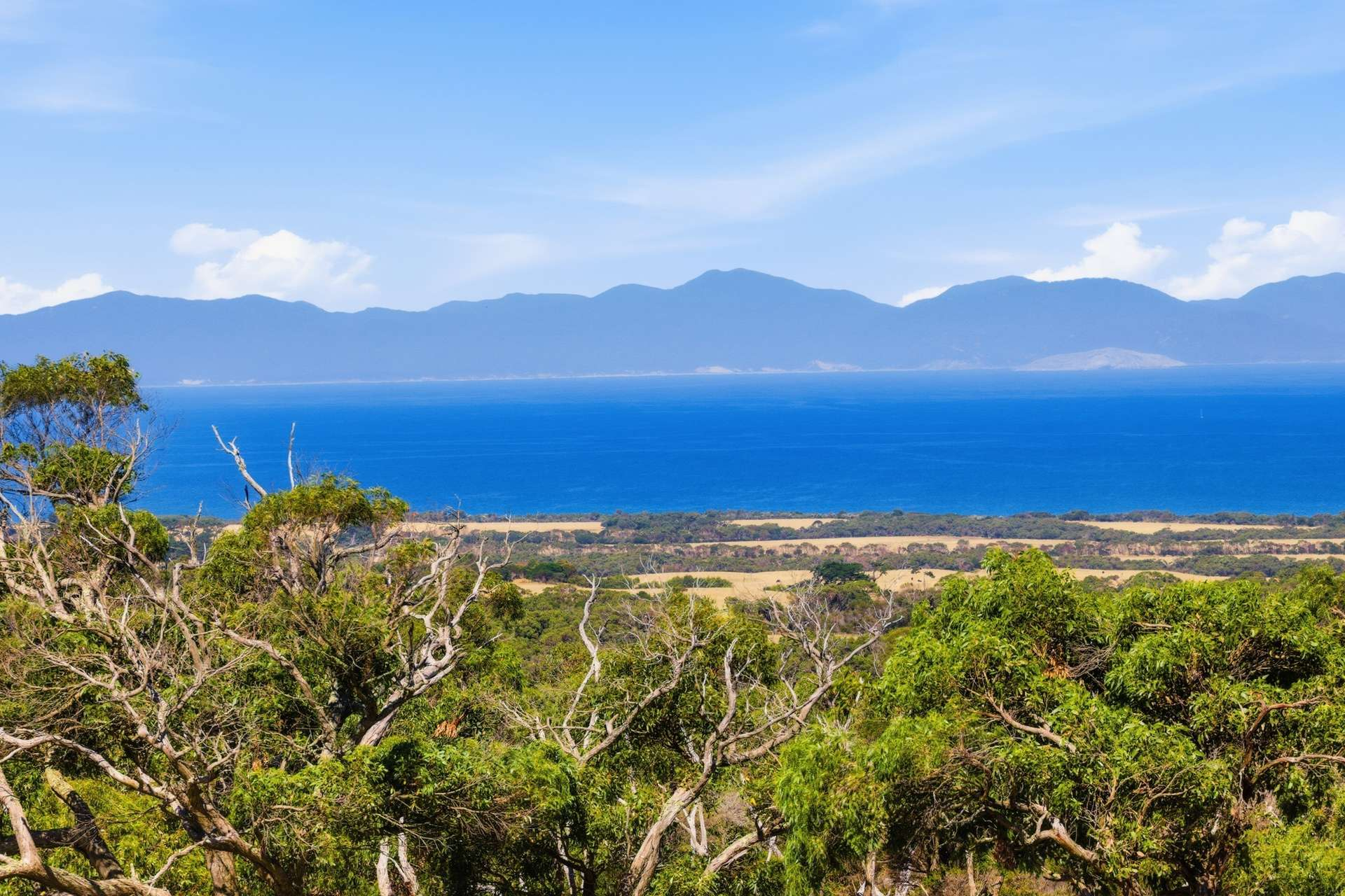 rural property for sale VIC