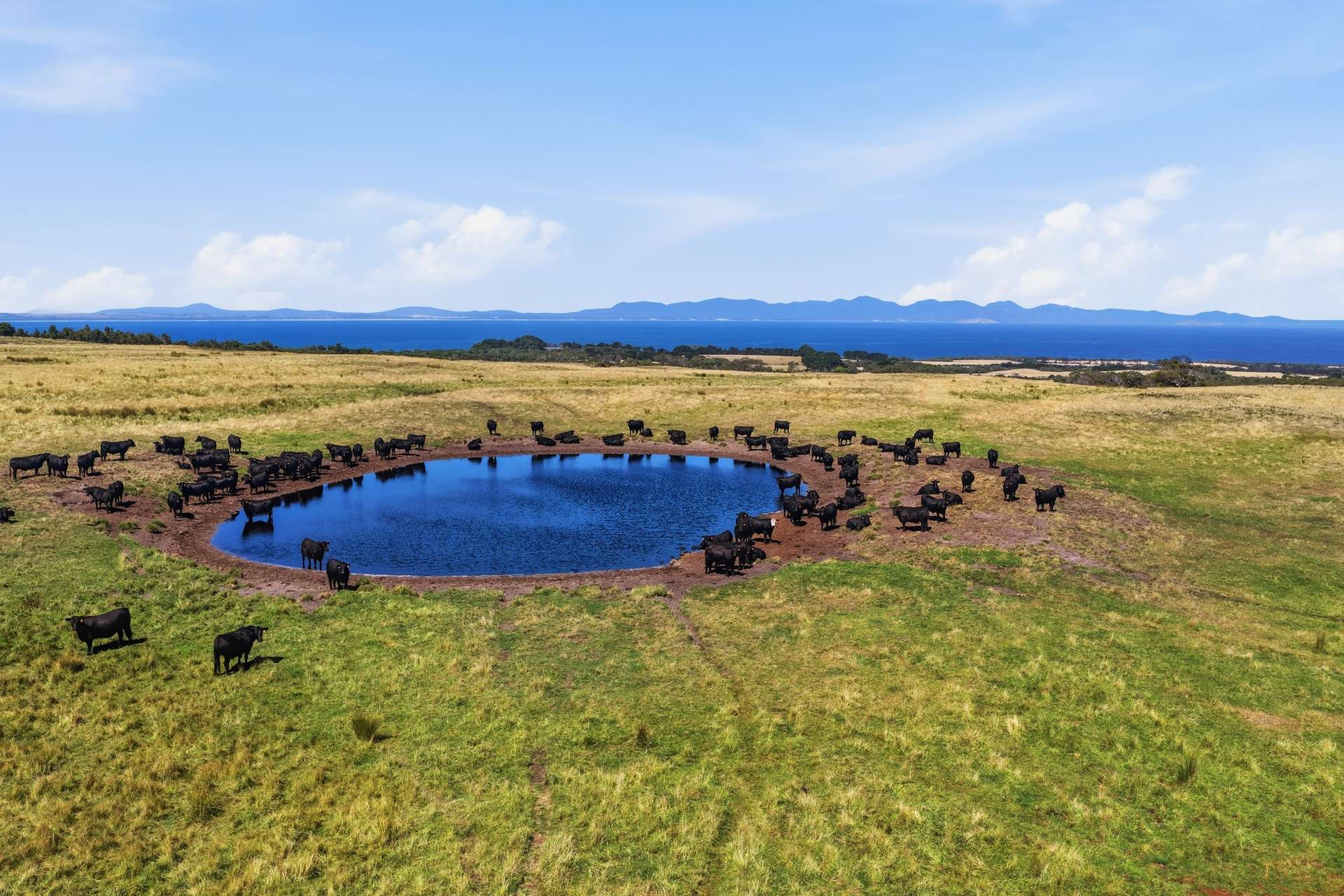 rural property for sale VIC