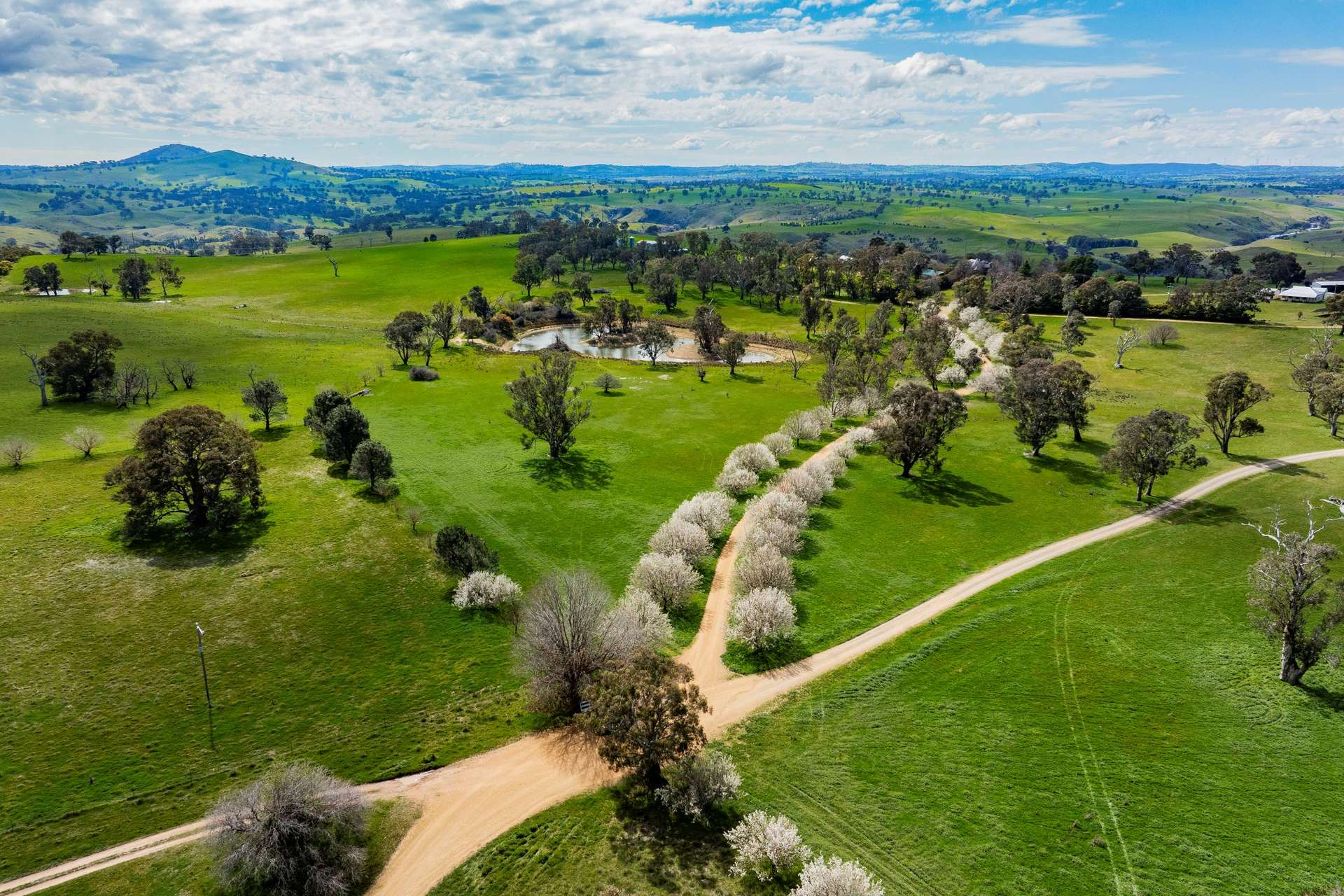 Cattle Property For Sale NSW