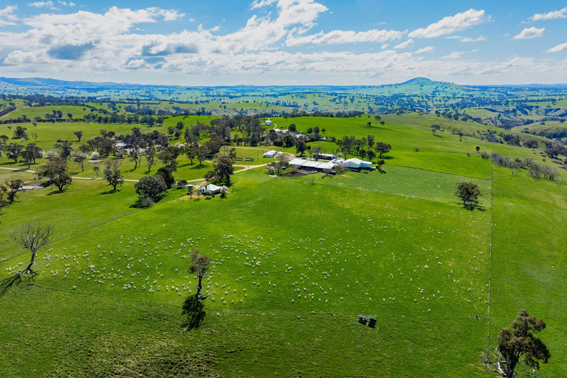 Cattle Property For Sale NSW