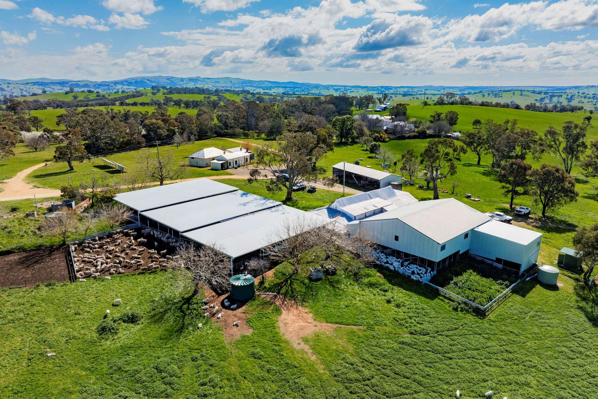 Cattle Property For Sale NSW