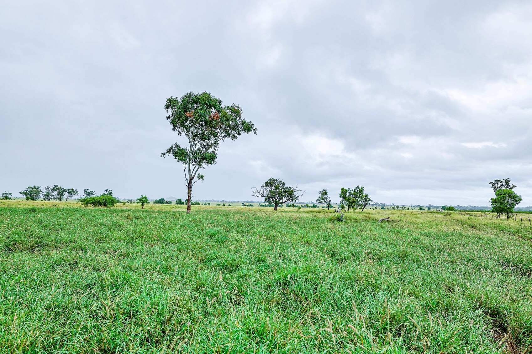 Rural Property For Sale QLD