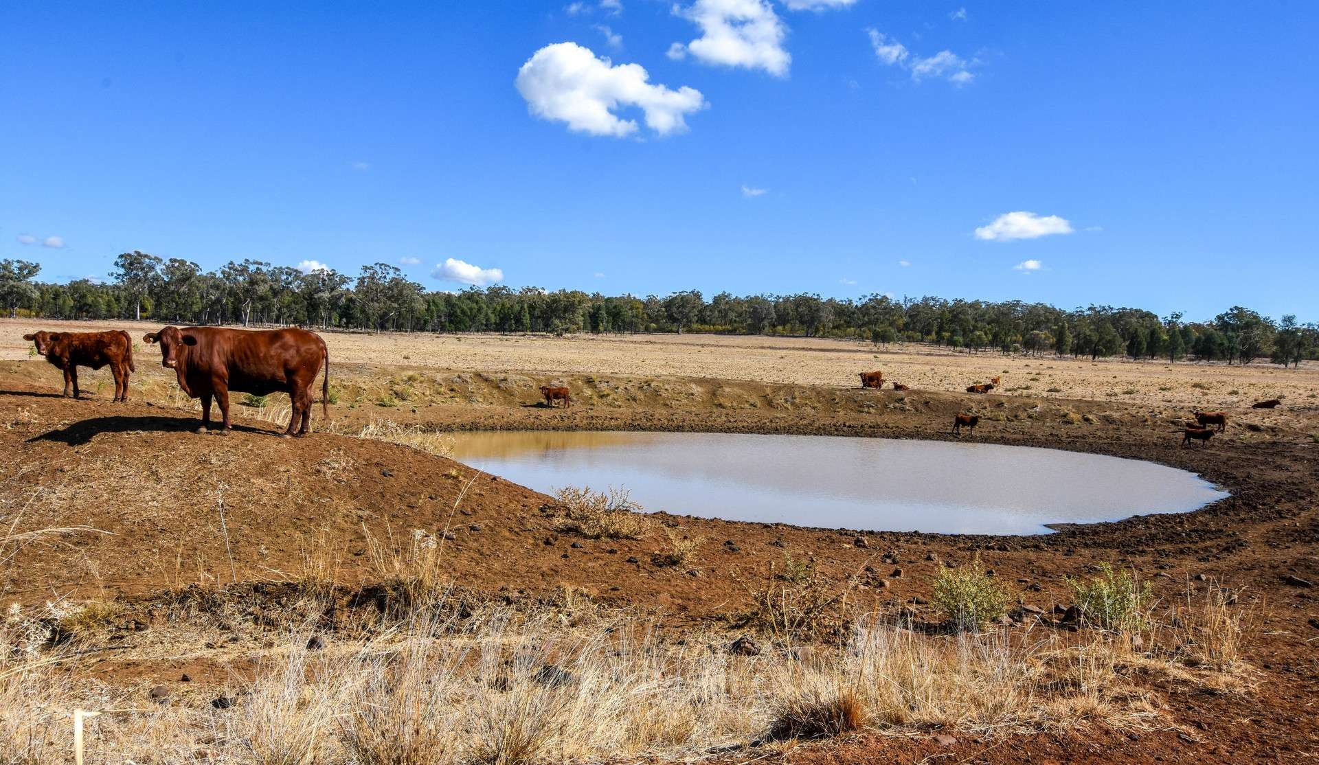 rural property for sale NSW