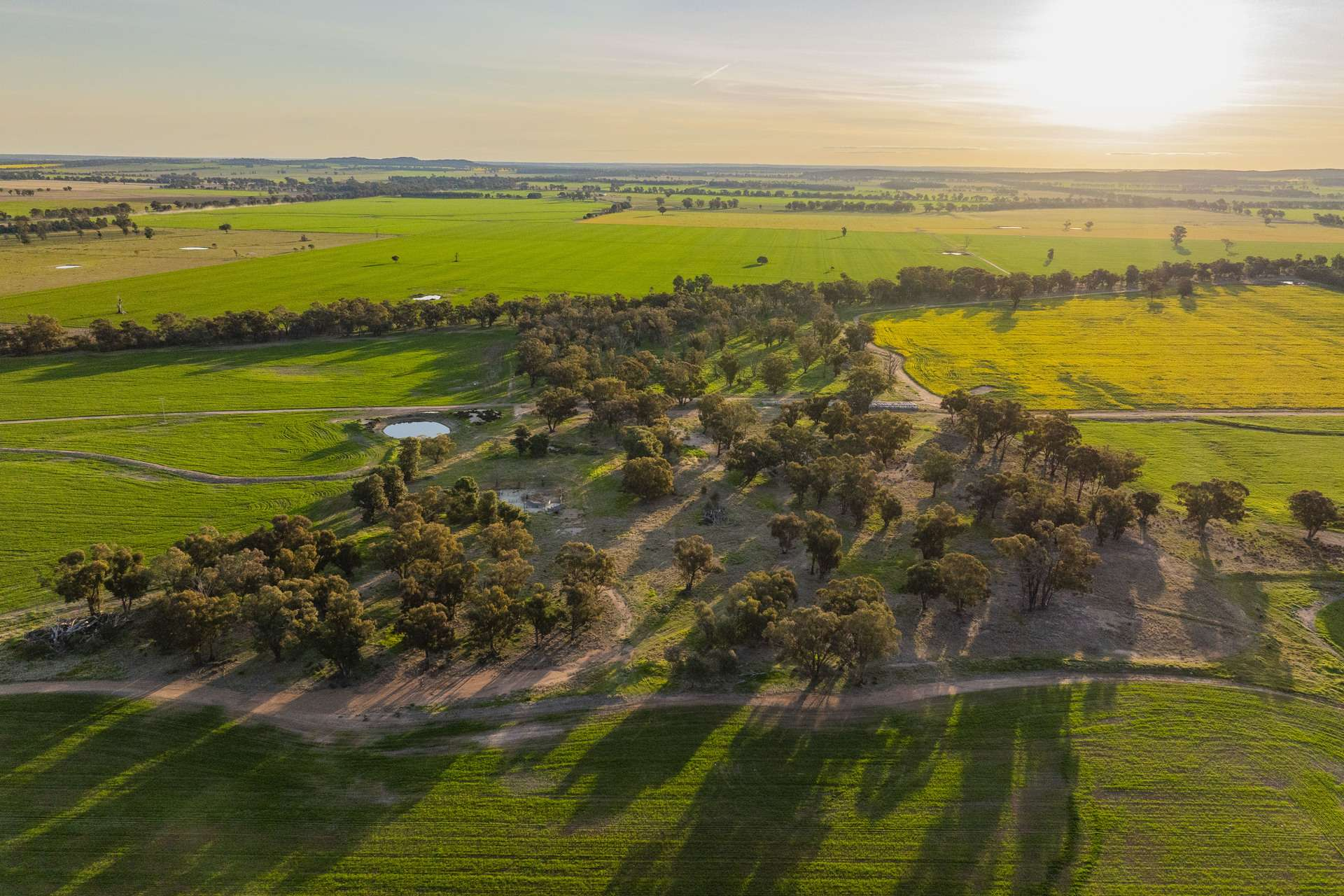 rural property for sale NSW