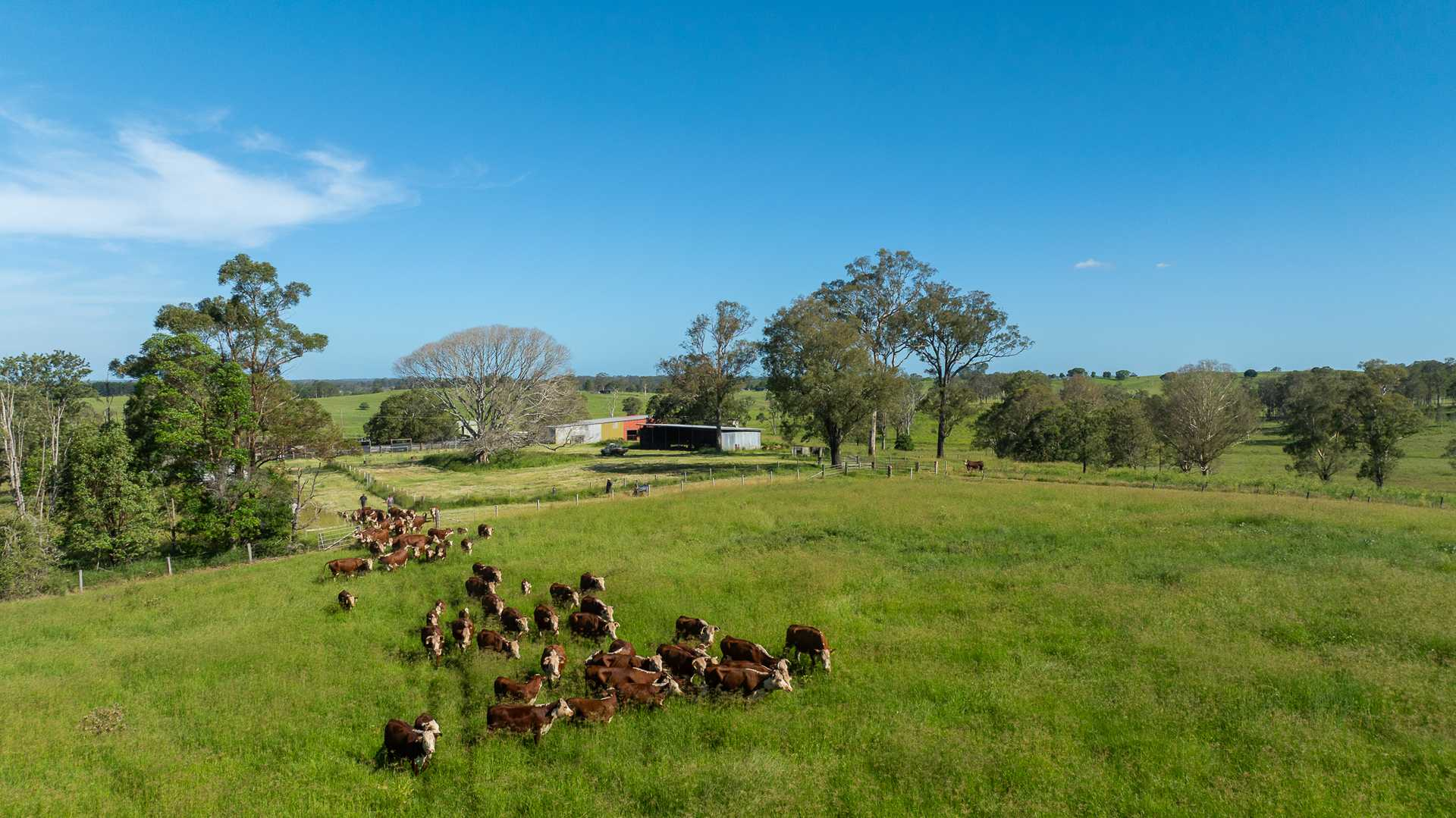 cattle property for sale NSW