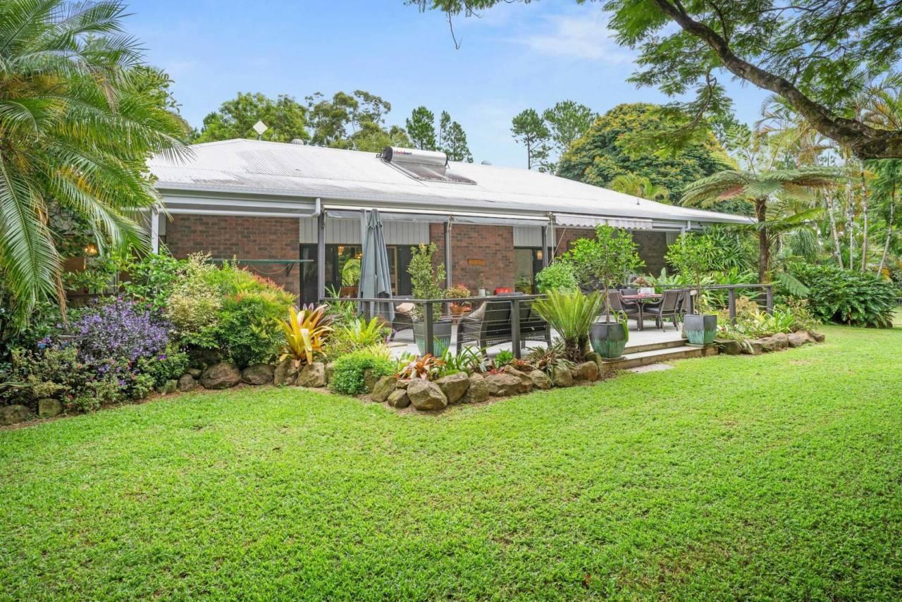 Macadamia Farm For Sale Byron Hinterland