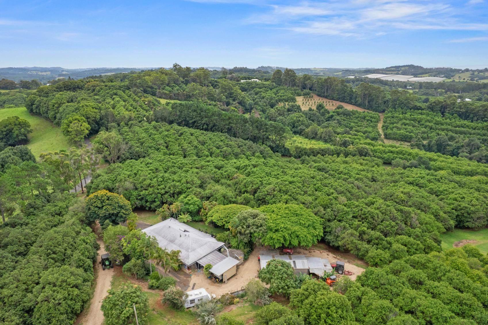  Macadamia Farm For Sale Byron Hinterland