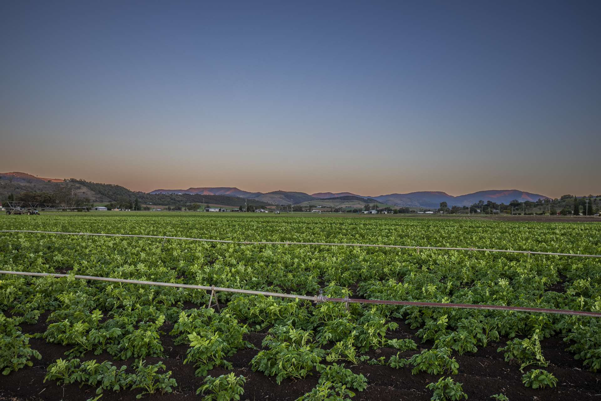 Farm For Sale QLD