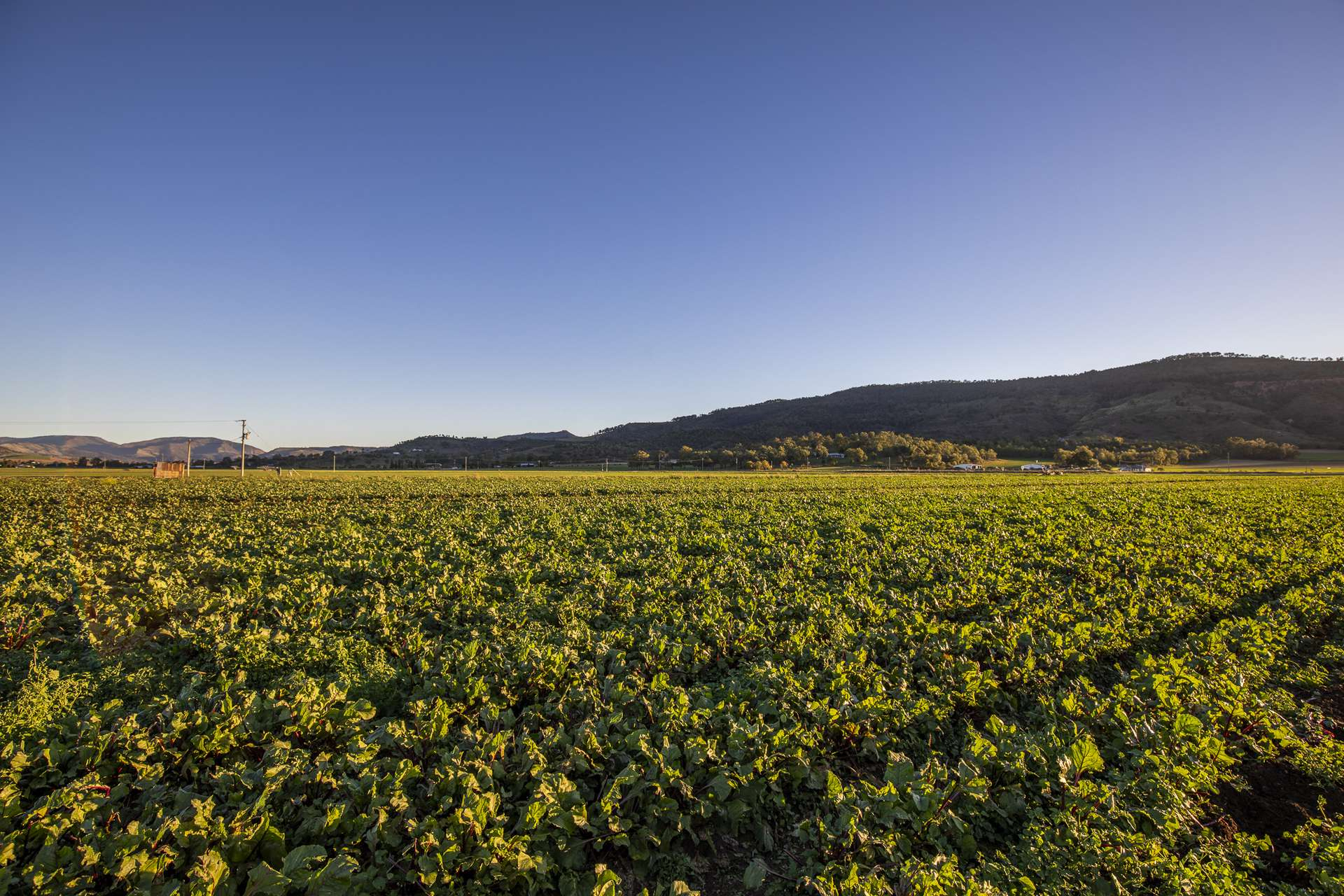 Farm For Sale QLD