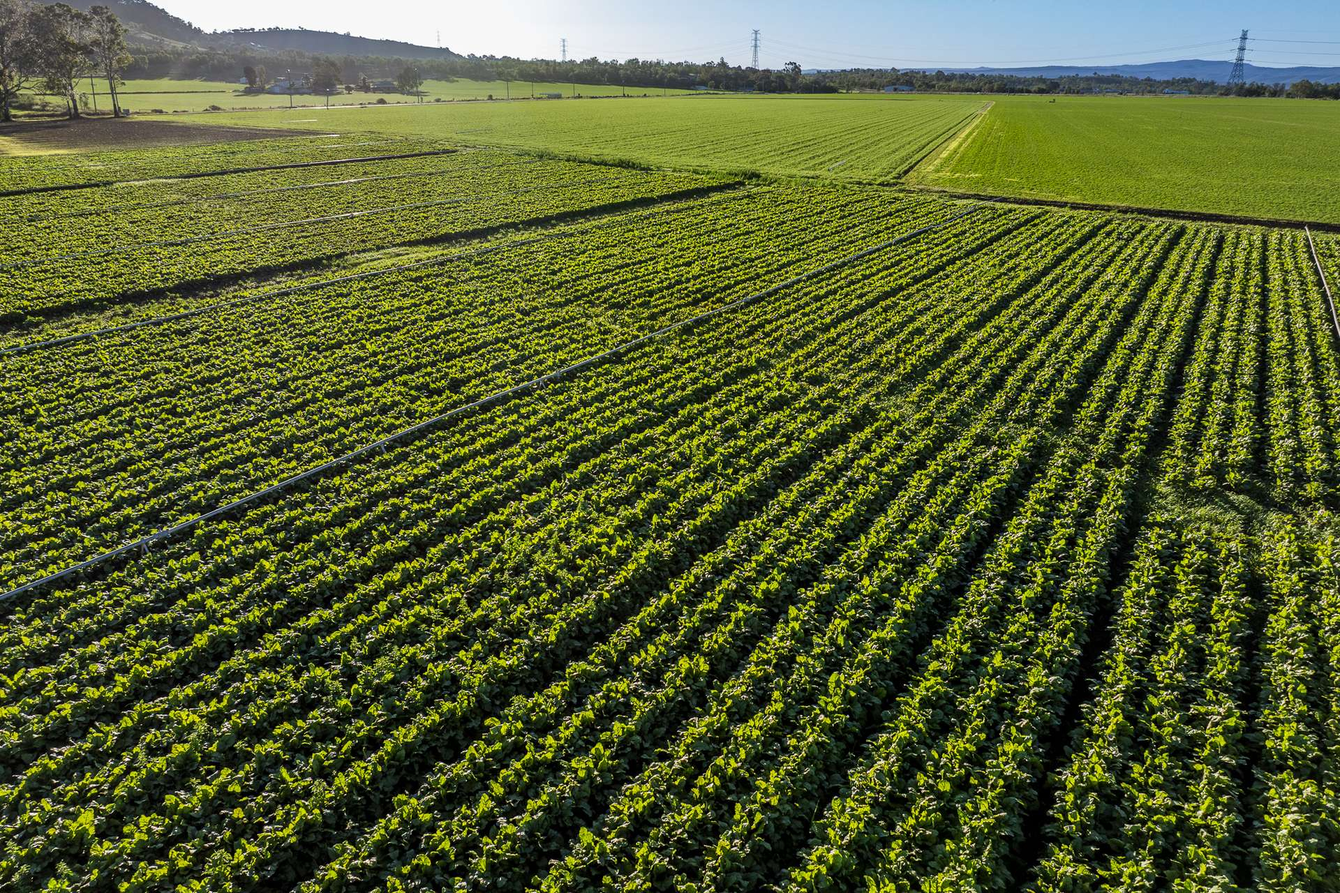 Farm For Sale QLD